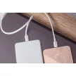 FORCELL F-ENERGY C901 C típusú kábel Lightning MFi PD 3A 30W 1 m fehér