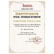 HOCO indor camera Full HD D1 white
