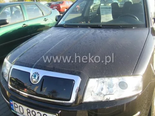 Téli hűtőrácsborítás Škoda Superb I. 2002-2006