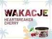 K2 FLORIDA Autóillatosító, heartbreaker cherry illat