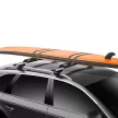 Thule Surf Pad Wide L